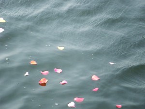 横浜ベイブリッジ沖散骨・献花